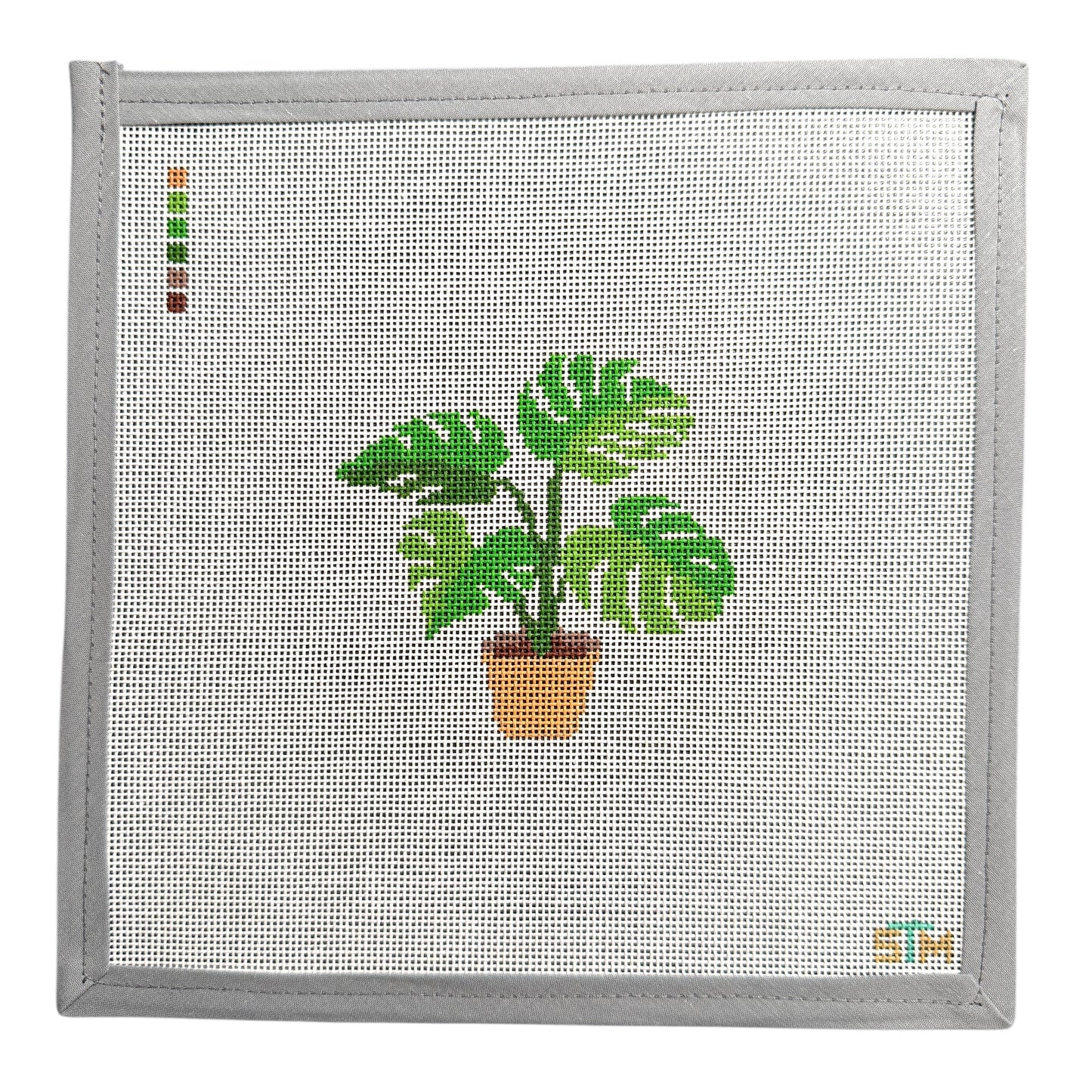 Monstera