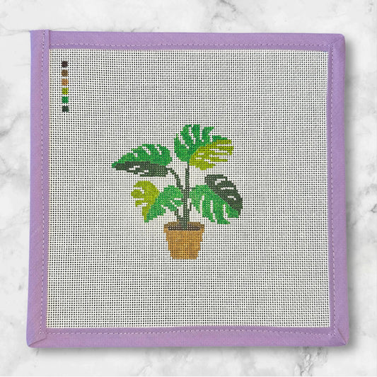 Monstera
