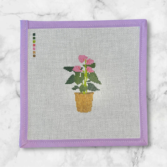 Pink Lily